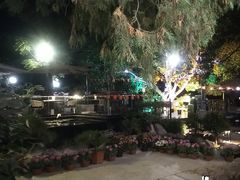 -蘇河湾·新鲁菜·泰山宴(泰山店)