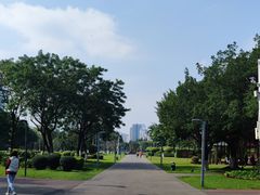 -万绿园