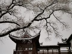-莫愁湖公园