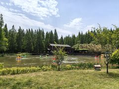 -黄海国家森林公园