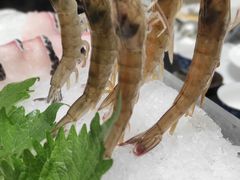 -红鼎豆捞·非遗鲍皇汤火锅(宝丰路店)