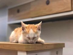 -WATER CAFE(广厦店)