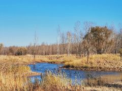 -野鸭湖国家湿地公园