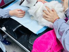 -贝康宠物医院·犬猫全科·小动物特色诊疗中心(东环路店)