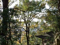 -大罗山风景区