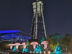 -运河游船(武林门码头)