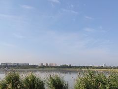 -绿堤公园