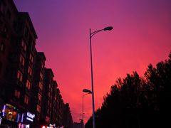 -Kpasta韩式意大利面