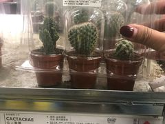 -宜家家居(哈尔滨商场店)