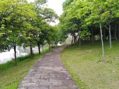 -福建鲤鱼洲酒店