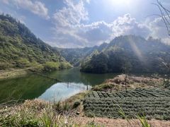 -磐安舞龙峡景区