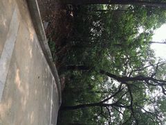 android_upload_pic-灵岩山风景区