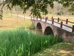 -森波拉奇妙世界