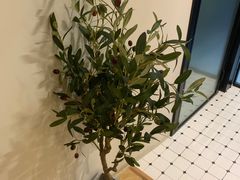 -小确幸 Massage(环贸iapm店)