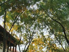 -新川办餐厅