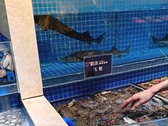 -乔哥铭洋海鲜自助(皇城恒隆广场店)