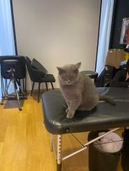 -飛凡TATTOO纹身•原创