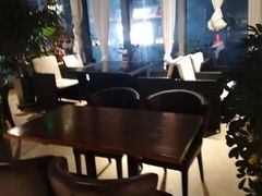-百好乐宠物友好餐厅(朝外大街店)