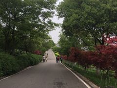 -南京市江宁方山