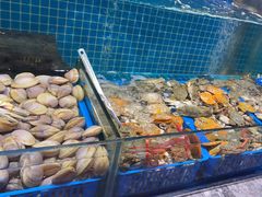 -曼格活海鲜·牛排自助(光明蓝鲸店)