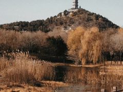 -北坞公园