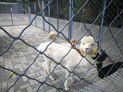 -长白岛森林公园