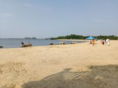 -瑶湖郊野森林公园