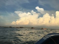 -北海金海湾红树林生态旅游区