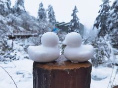 -瓦屋山景区