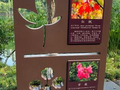 -重庆彩云湖湿地公园