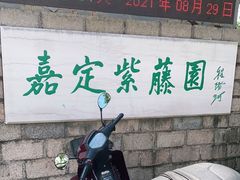 -嘉定紫藤园