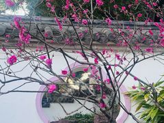 -无锡梅园公园