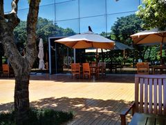 -松山湖凯悦酒店·Café自助餐厅·周末火舞秀表演