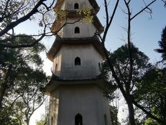 -江心屿景区