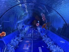 -重庆欢乐海底世界