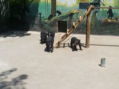 -西安秦岭野生动物园