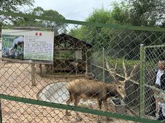 -青藏高原野生动物园