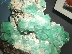 -湖南省地质博物馆