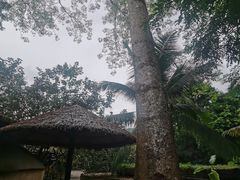 -海南槟榔谷黎苗文化旅游区