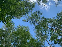 -长春市南湖公园