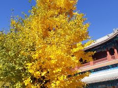 -潭柘寺景区