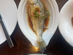 -彩丰楼·中餐厅(国家会展中心上海洲际店)