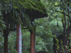 -望江楼公园