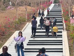 -盈香心动乐园
