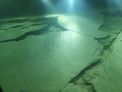 -白鹤梁水下博物馆