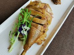 宣汉稻香鸡-樽宴酒楼·地道川菜·品质宴请