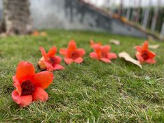 -文华公园(禅城区)