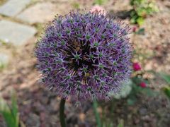 -祥源·阜阳生态乐园