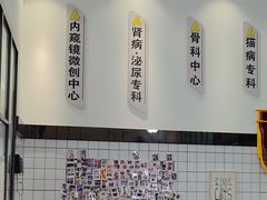 -半岛宠物医院24小时(科华中路店)