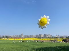 -三圣花乡旅游区